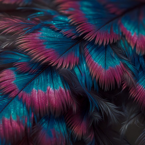 Seraphim by Rodriguez Jr., Nors Kode