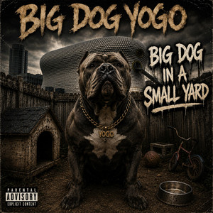 Big PussyHole by Big Dog Yogo