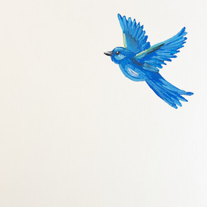 Fly by coldbrew