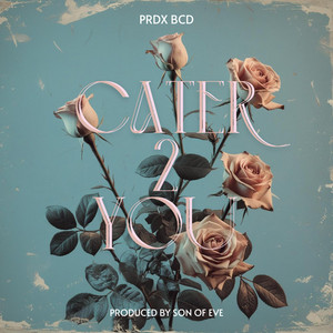 Cater 2 You