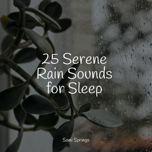 25 Serene Rain Sounds for Sleep album