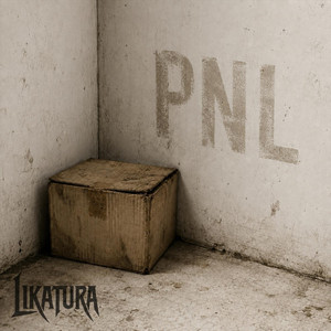 PNL by Likatura