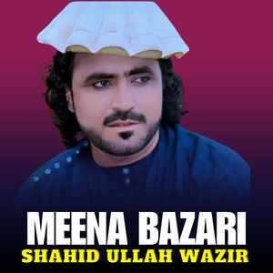 Shahid Ullah Wazir - Meena Bazari