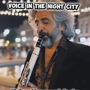 Ornaments Guru - Voice In The Night City