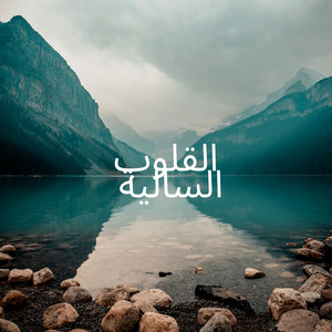 القلوب السالية