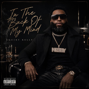 Mr. Nice Guy by Squirt Kelly