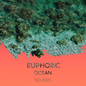 zZz Euphoric Ocean Sounds zZz album