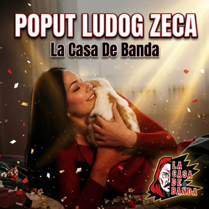 Poput ludog zeca