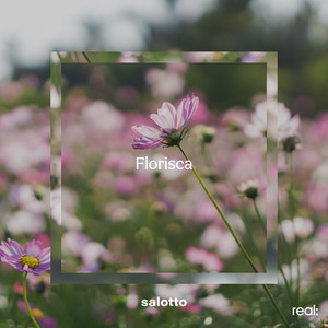 Florisca by salotto