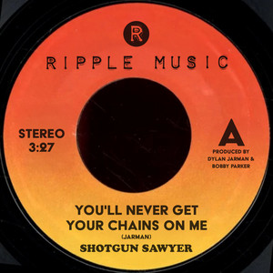 You'll Never Get Your Chains On Me by Shotgun Sawyer
