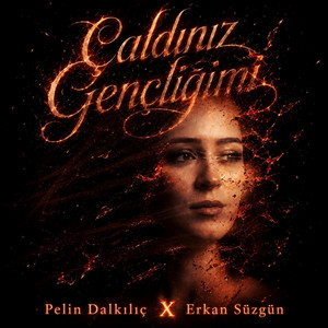 Çaldınız Gençliğimi by Pelin Dalkılıç, Erkan Süzgün
