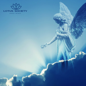Angel Wings by Lotus Society