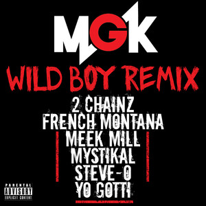wild 洋楽 boyz