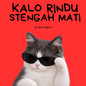 Kalo Rindu Stengah Mati by DJ BUTTERFLY
