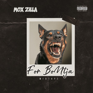 Phologolo by Mox Zilla