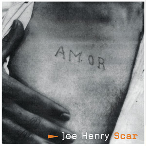 Scar cover