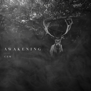 AWAKENING by CEM