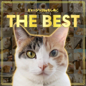 猫ハラ by ミャージックbyもしぬこ