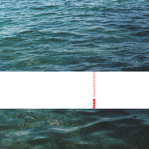 The Echo - William Kiss Remix by TEED, William Kiss