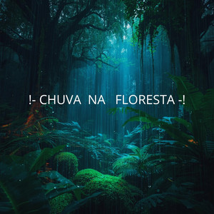 Chuva Na Floresta