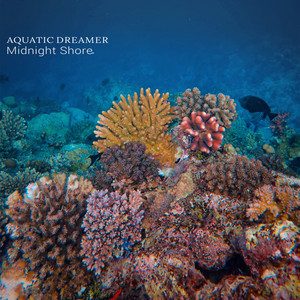 Midnight Shore by Aquatic Dreamer