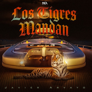 Los Tigres Mandan by Javier Arvayo