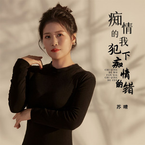 苏晴 - 痴情的我犯下痴情的错 (女版)