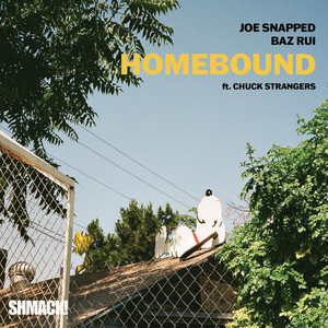 Homebound by Joesnapped, BAZ RUI, Chuck Strangers