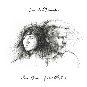 Like New by David O'Dowda, IORA