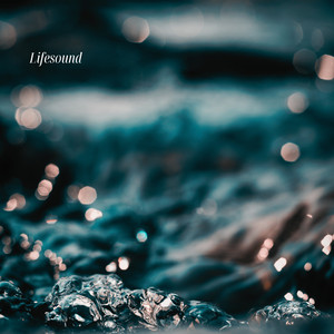 Lifesound by R Skye