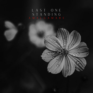 Last One Standing by Amalgamare