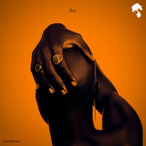 Boo by Gentleman (DJ)