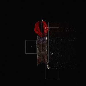 red lacoste zipper by 2kmafia, noah2k, easthouse