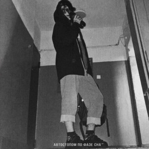 Автостопом по фазе сна - Котик, зайчик