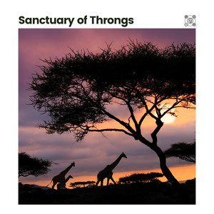 Sanctuary of Throngs album