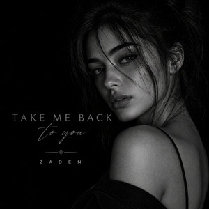 Take Me Back To You by Zaden