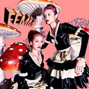 L.C.S. by FEMM
