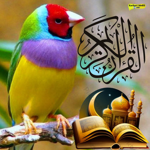 Sheikh Shuraim - 32 Para