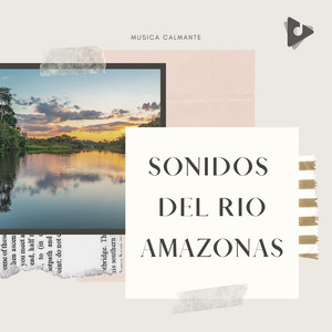 Sonidos Del Rio Amazonas