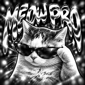 MEOW PRO by BOWSY