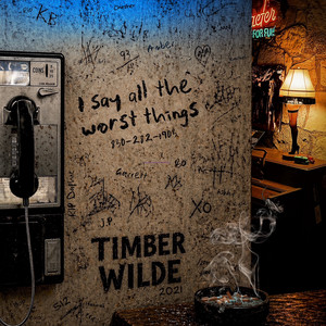 I Say All the Worst Things by Timber Wilde