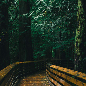 The Curve Before the Dark by Piano Softly