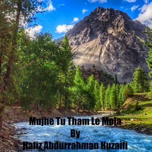 Hafiz Abdurrahman Huzaifi - Mujhe Tu Tham Le Mola