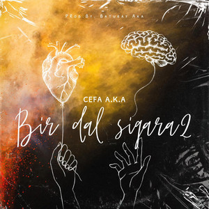 Bir Dal Sigara 2 by Cefa AKA