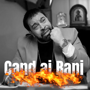 Florin Salam - Cand ai Bani (feat. Nicolae Guta & Stefan De La Barbulesti)