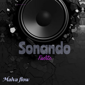 sonando fuerte by MALVAFLOW