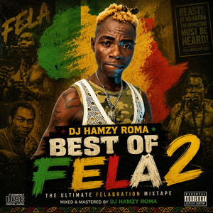 BEST OF FELA 2 X TIKTOK TREND by DJ HAMZY ROMA