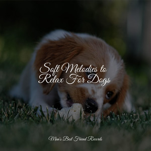 Soft Melodies to Relax For Dogs album