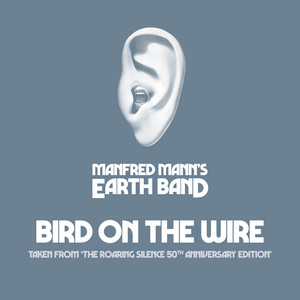 Bird On The Wire
