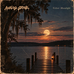 Velvet Moonlight by Analog Grove